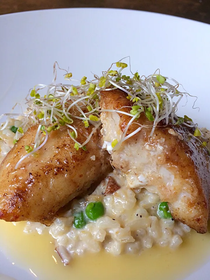 Snapdishの料理写真:Halibut Cheeks with sweet pea shiitake mushroom risotto, Myer lemon and thyme infused butter|clarence alexanderさん