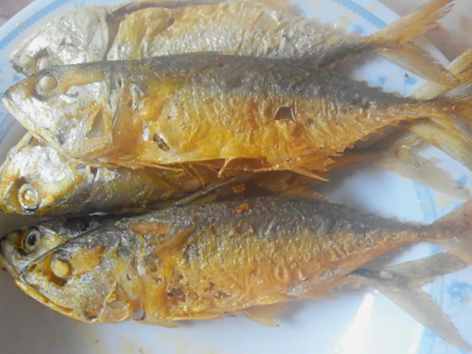 ikan goreng :-)|Shuhaida DeSistersさん