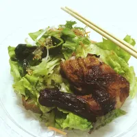 Salad|Hidemi Takashimaさん