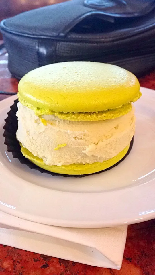 Pistachio Macaron IceCream|SJさん