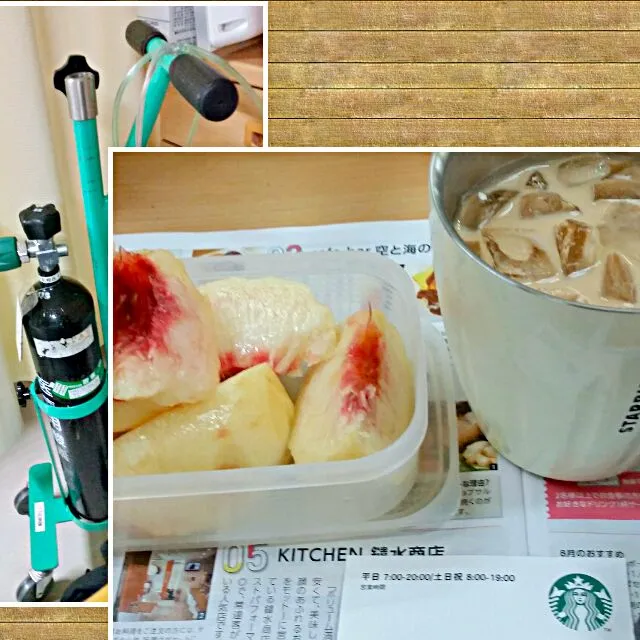 Snapdishの料理写真:入院からの相棒と離れて院内の冒険|こやっこさん