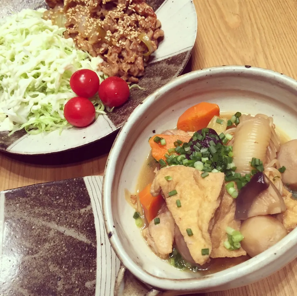 全てが大量！厚揚げ里芋手羽元煮物と豚切り落とし生姜焼きー💕|シーチキンさん