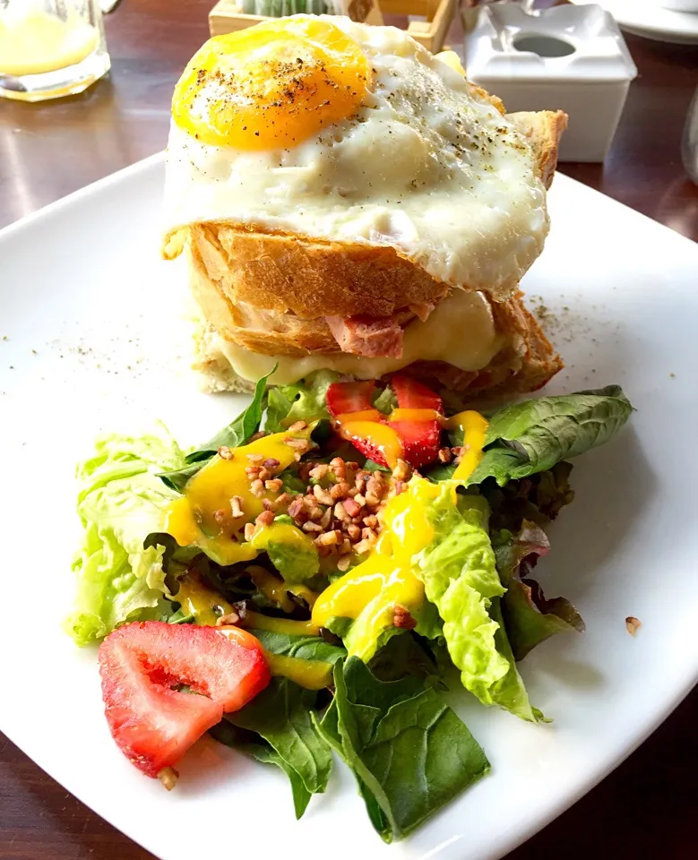 Croque Madame|Eduardo Mestre Sさん