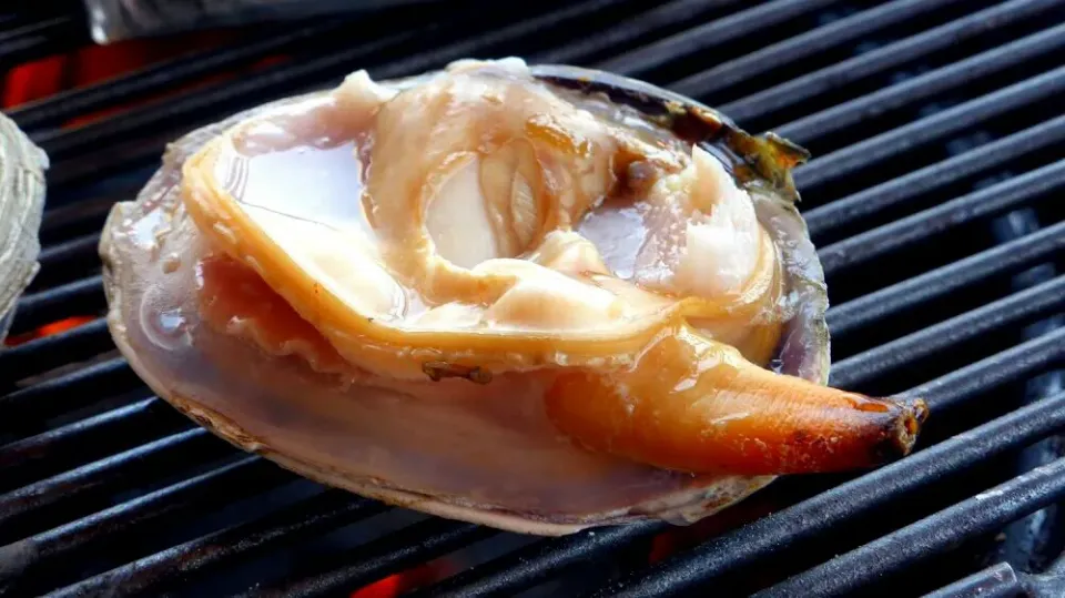 grilled clam|steven z.y.さん