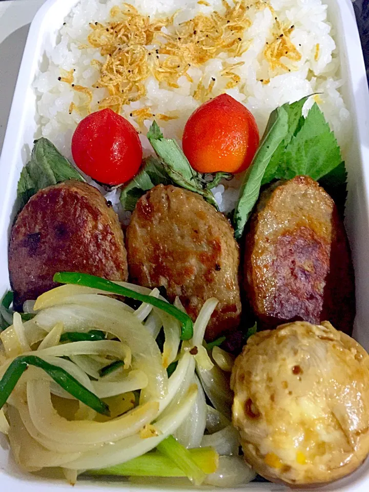 Snapdishの料理写真:パパお弁当🍱  ハンバーグ韮と玉葱の炒め物、半熟卵の揚げ浸し(醤油)トマト🍅あみエビのふりかけ|ch＊K*∀o(^^*)♪さん