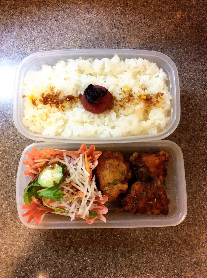 Snapdishの料理写真:ご飯1合弁当 2015.8.31|キラ姫さん