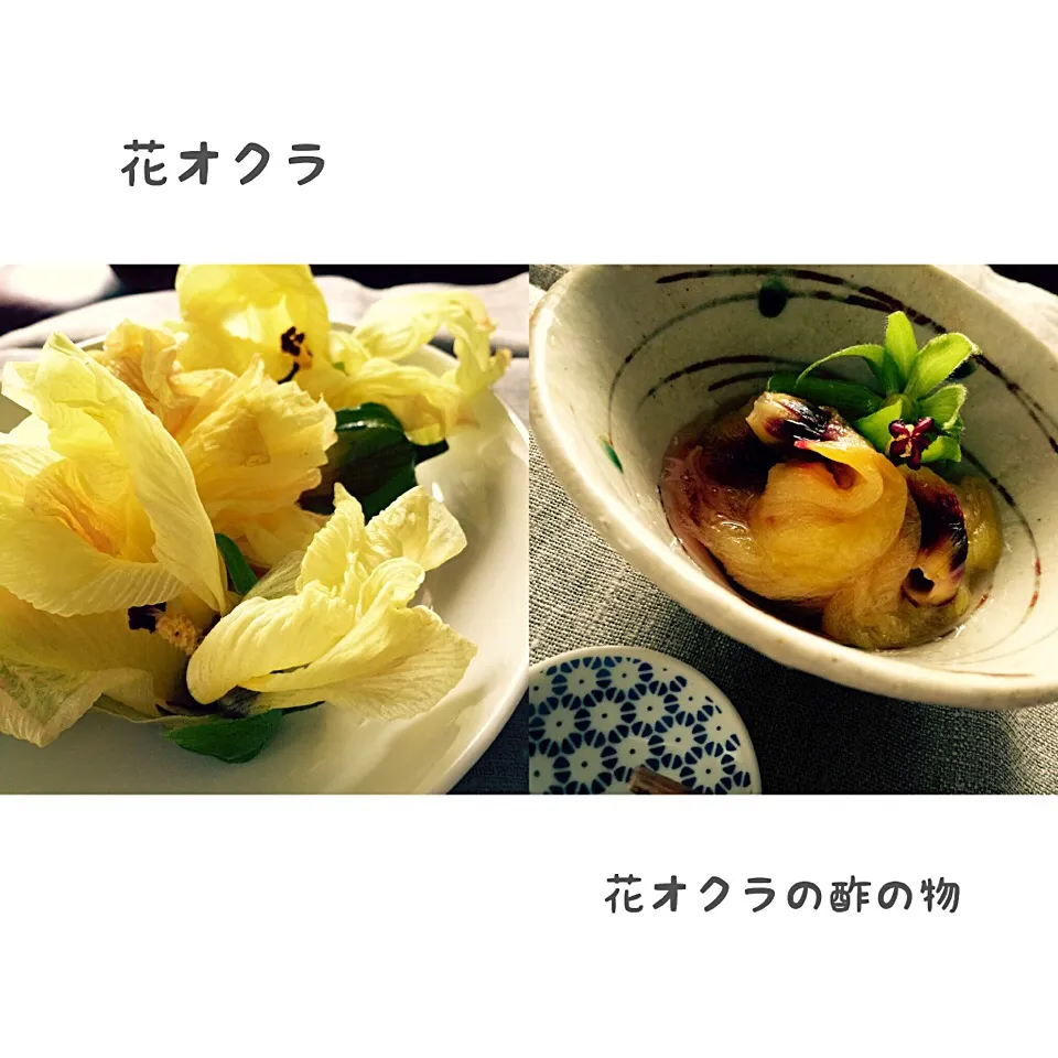 Snapdishの料理写真:花オクラ|シローさん