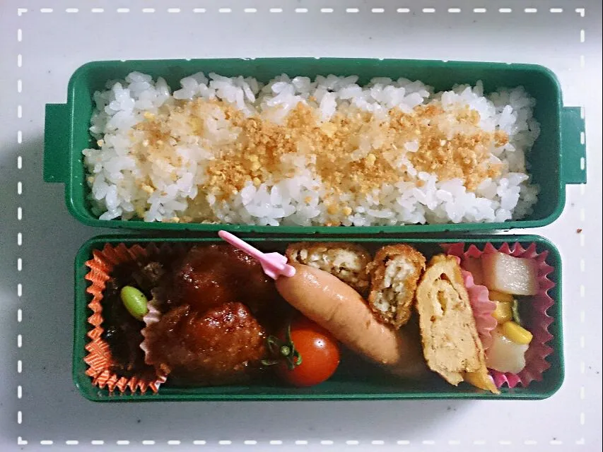 9/1 お弁当☆|ひなねこさん