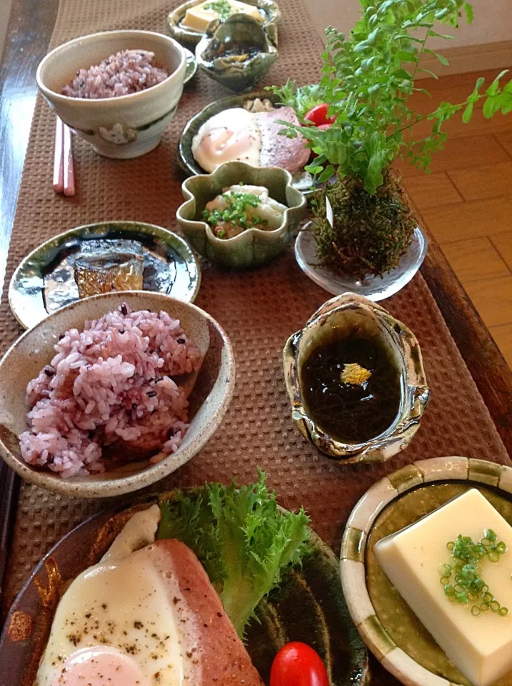 塩サバ  山芋納豆  卵豆腐  もずく  黒米入ご飯  スパムハムエッグ|izunさん