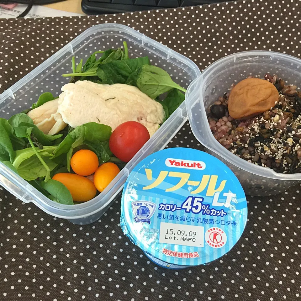 Snapdishの料理写真:柔らか鶏ハムサラダと玄米雑穀酵素ごはんのお弁当♡|Mehco Coconutvanillaさん