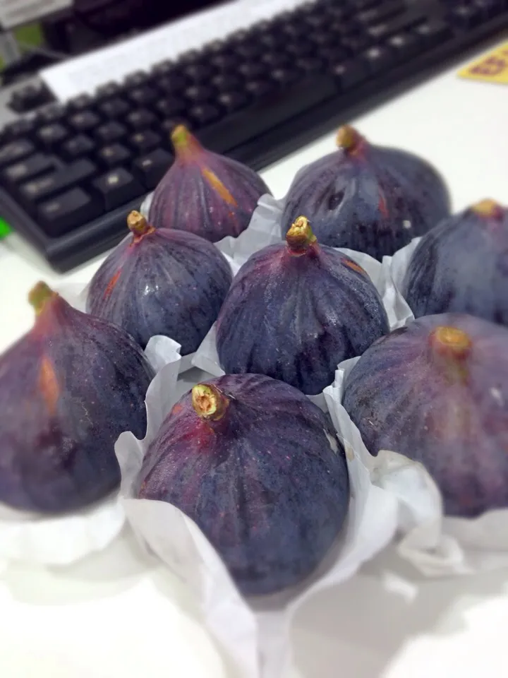 Fresh figs|Carolさん