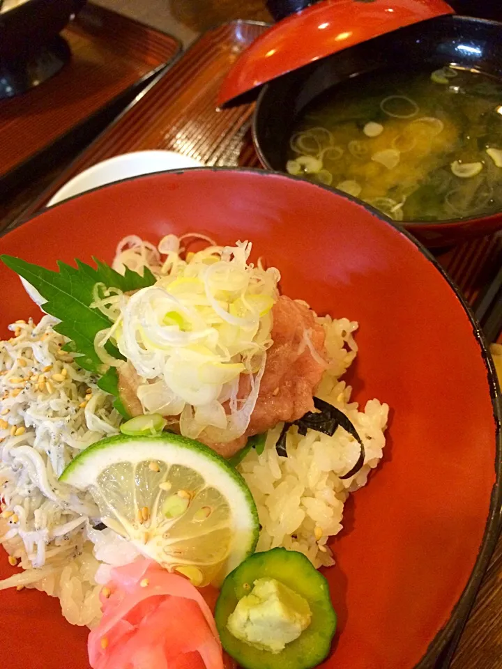 釜揚げシラスとネギトロ丼|くぽさん