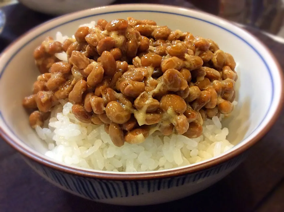 これが食べたかった😋|アライさんさん