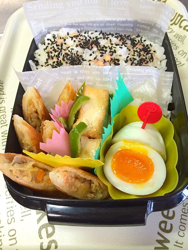 Snapdishの料理写真:春巻き弁当(´◡`๑) ♡|cotocotoさん