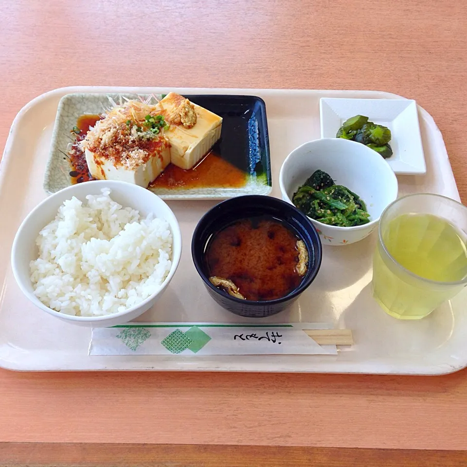 冷奴定食@レストピアふじた 藤田保健衛生大学病院|うるるとらさん