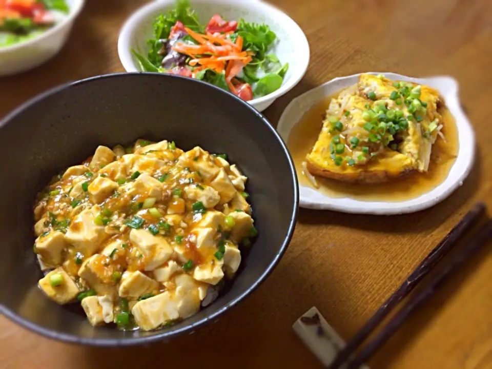 Snapdishの料理写真:9/2晩御飯 麻婆豆腐丼 もやし玉子のあんかけ サラダ|sayakaさん