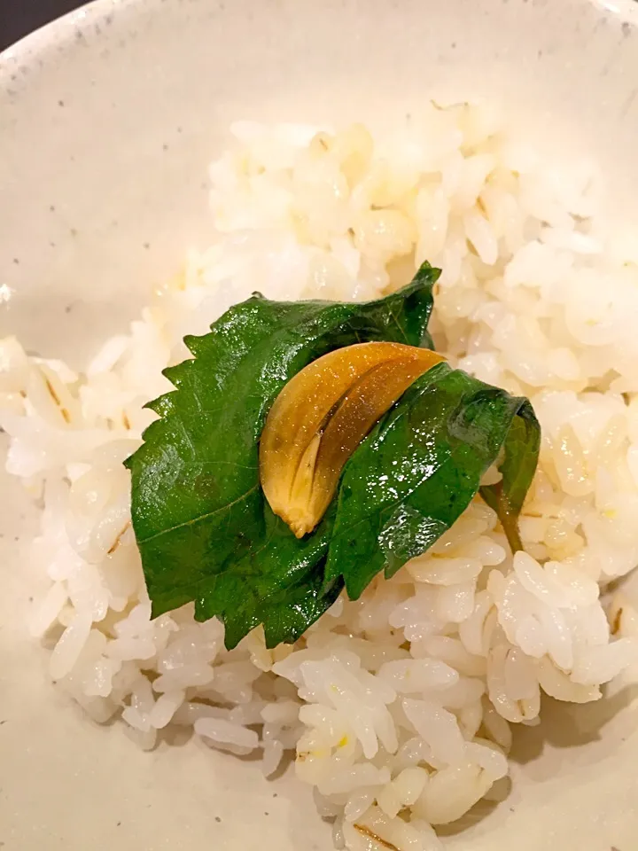 Snapdishの料理写真:「合法ハーブSHISO」乗せご飯🍚🍀|まみりんごさん