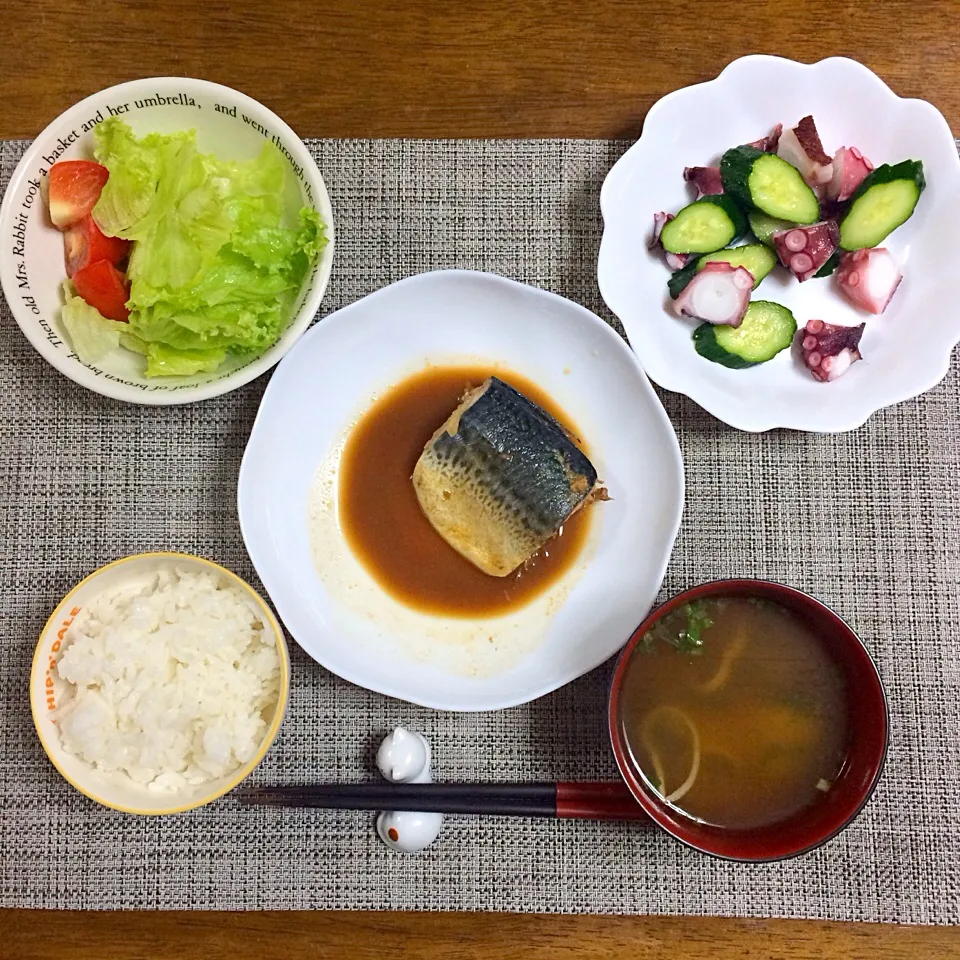 27.9.3 鯖の味噌煮、タコきゅうり、サラダ、ご飯、味噌汁|ponhoppelさん