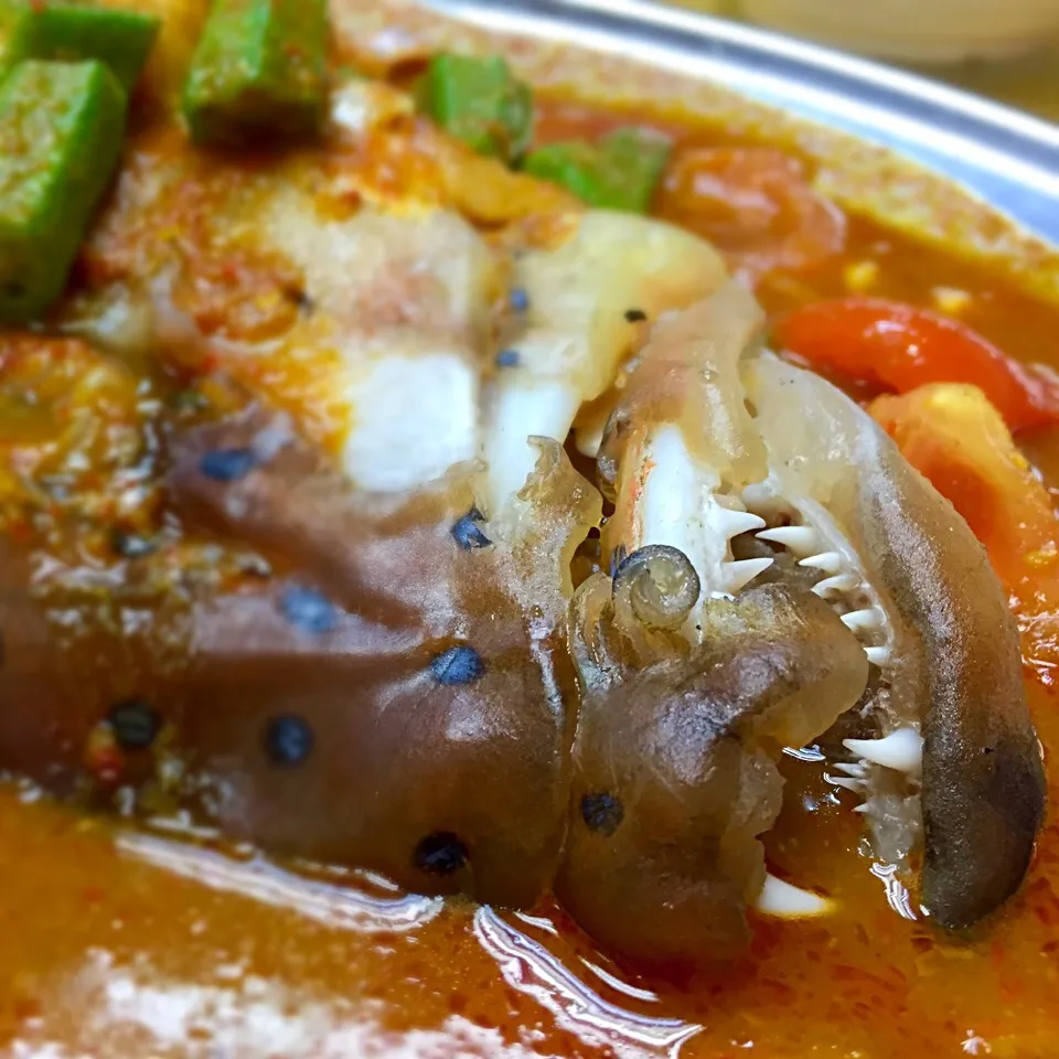 Snapdishの料理写真:Assam Fish Head Curry|Jeremy Khooさん