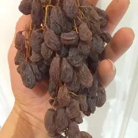 Australian dried grape|jacさん