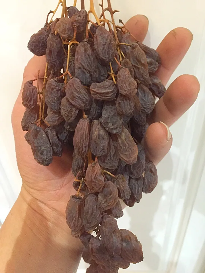 Australian dried grape|jacさん