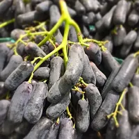 Black Moondrop grapes|Ron Guentherさん