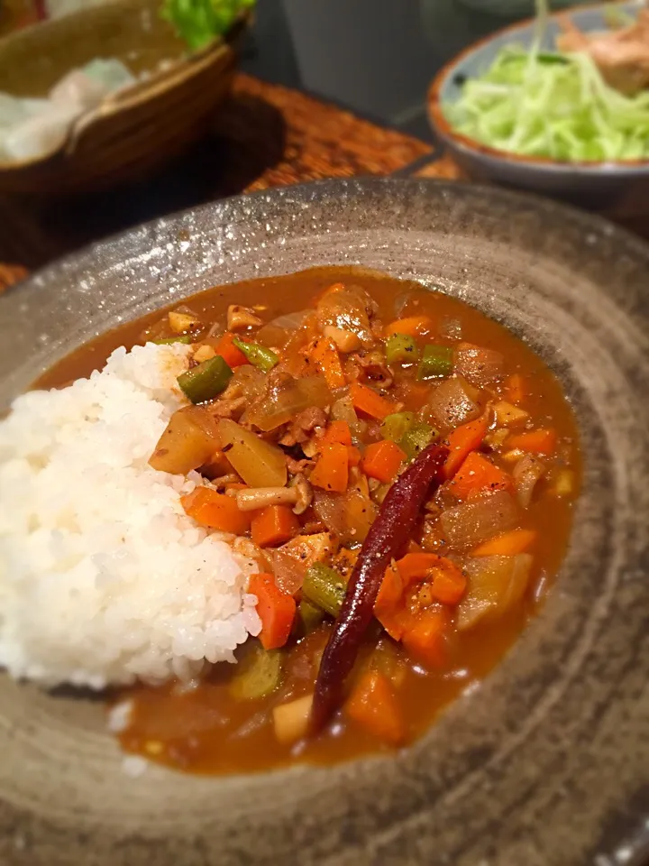 🍛久々のカレー 冷蔵庫にある野菜で🍄🍆🍅|maroさん