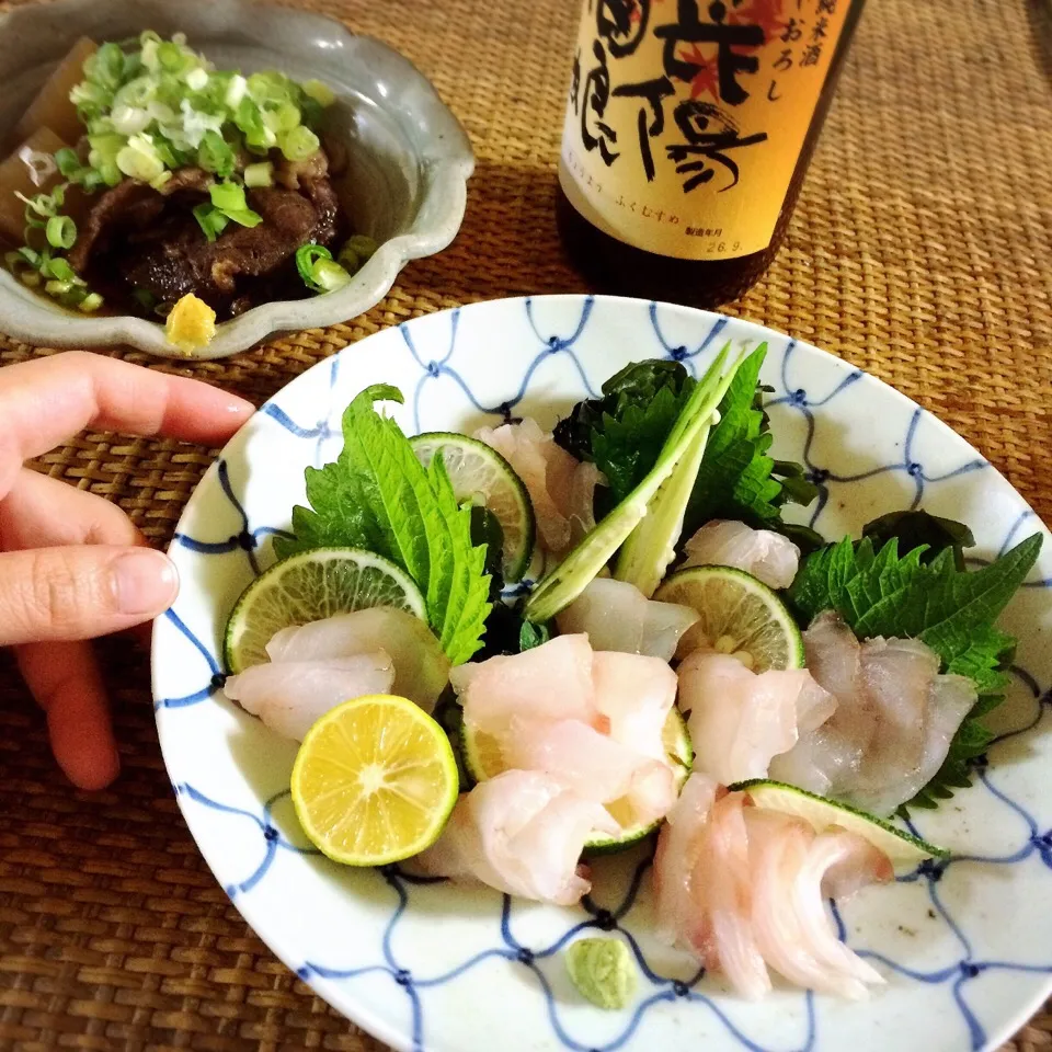 マゴチ 刺身   牛スジ煮込み|Shindoさん