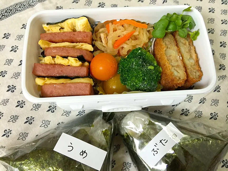 Snapdishの料理写真:スパム弁当|Kanegonさん