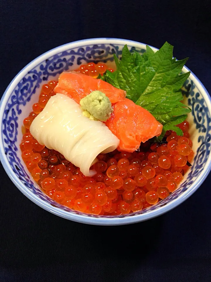 鮭🐟の父子に他人のイカ同居丼🌊|Hollyさん