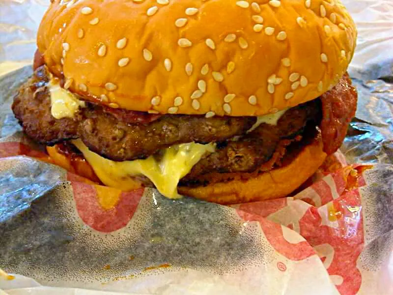 Double Cheese Burger W/ American Cheese On A sesame seed Warm Bun|Sheila Harrisさん