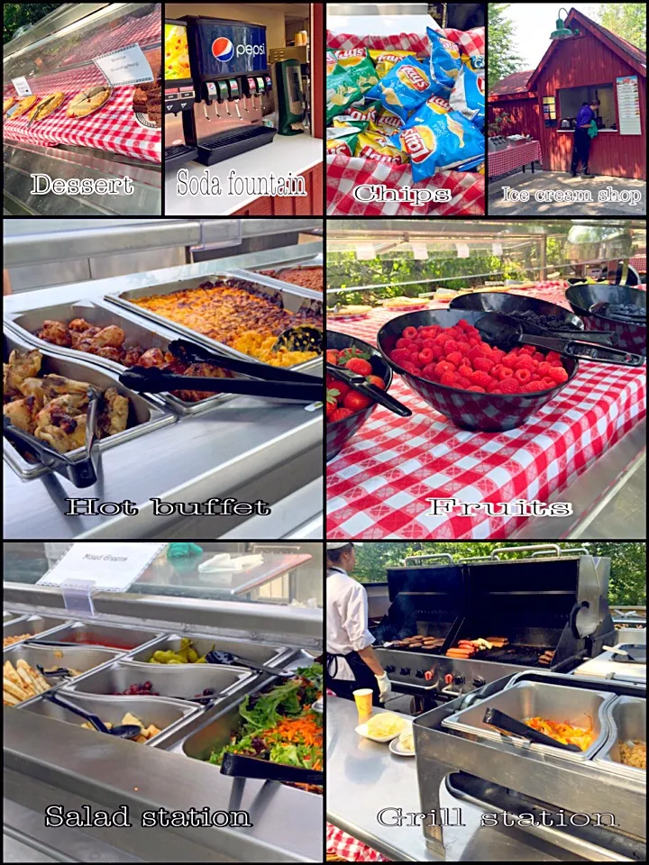 Picnic grill lunch buffet|erisさん