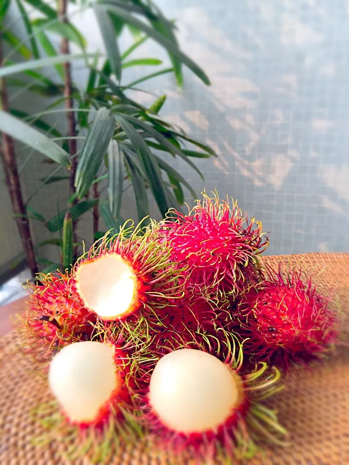 Rambutan - tropical fruit☀️  モーニングはユニークなルックスのトロピカルフルーツ ❤️ランブータン❤️|Berry Berriesさん