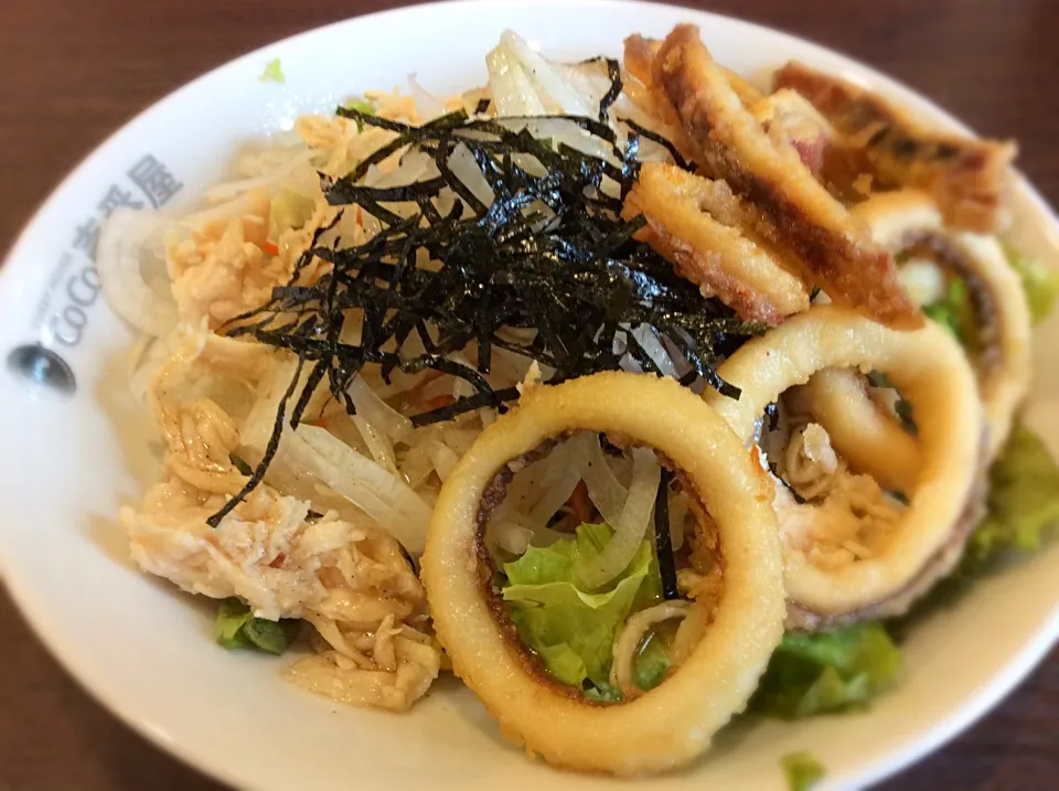 CoCo壱番屋新作シリーズ「蒸し鶏と大根サラダINイカ」😋|アライさんさん