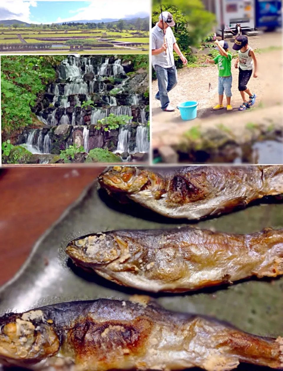 ニジマス塩焼き in夏休み|ふぅちゃんさん