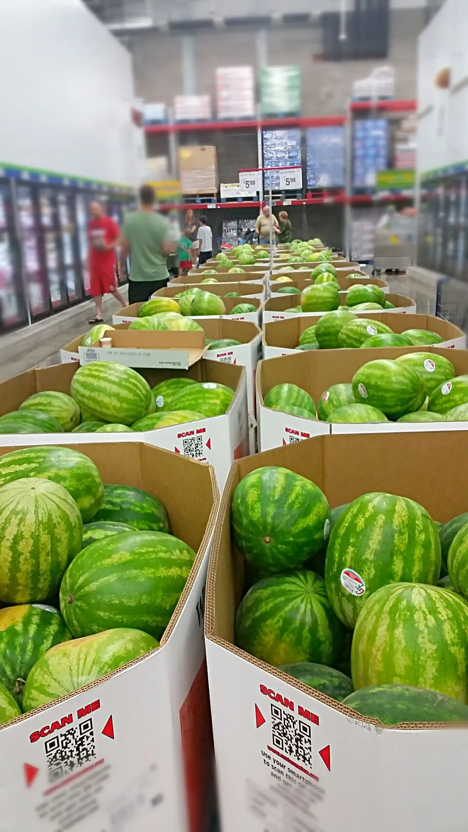 Summer is almost over but there's still lots of watermelon at Sam's Club!  Only $5.98 each.|Jihollandさん