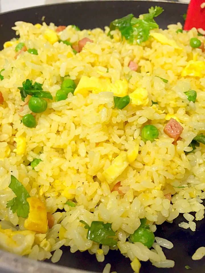 Curried rice|Janeさん