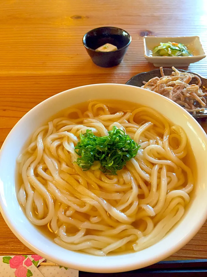 うどん|ayulotteさん