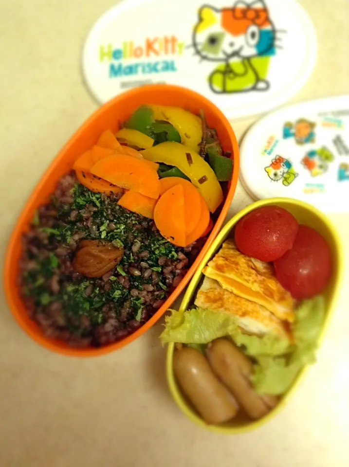 Today’s lunch box. おかずだけ少し食べて冷蔵庫へ。持って帰って夕食にしただこうかなー|hoppycowさん