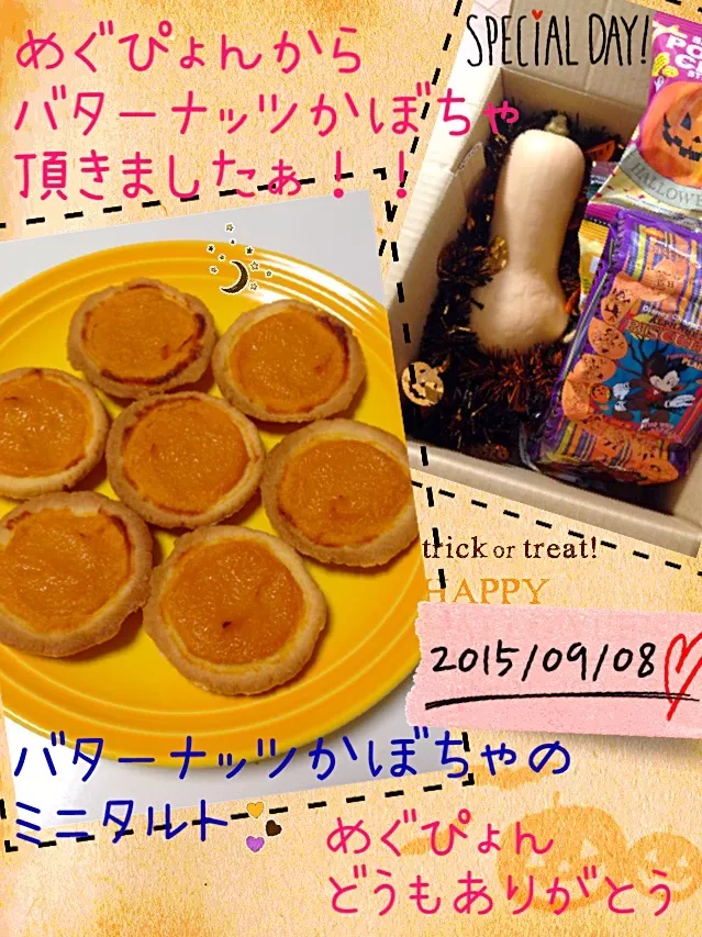 Snapdishの料理写真:手作り♡めぐぴょんから頂いたバターナッツかぼちゃdeミニタルト♡|mari♡（もも(*´∀｀*)♪）さん