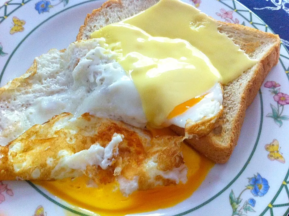 Snapdishの料理写真:Fried egg and wholewheat bread top with melted cheese.|Gamgamntpさん