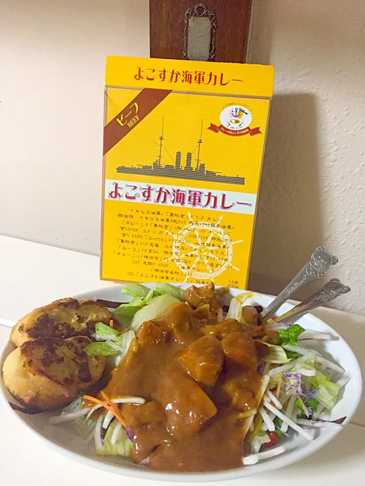 よこすか海軍カレー|田中めぐみさん