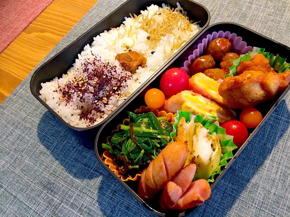 ぱぱ弁当|さやつんさん