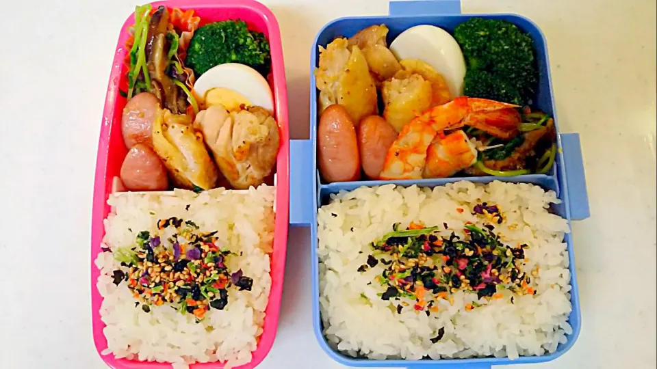 Snapdishの料理写真:今日の長男弁当🍱と私夜勤弁当🍱❗|Sayakaさん