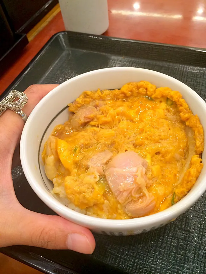 Snapdishの料理写真:Oyakodon ( chicken and egg on rice )|Piapplesさん