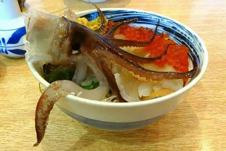 Odori don dancing squid bowl at Hakodate market|CHUENCHAIさん