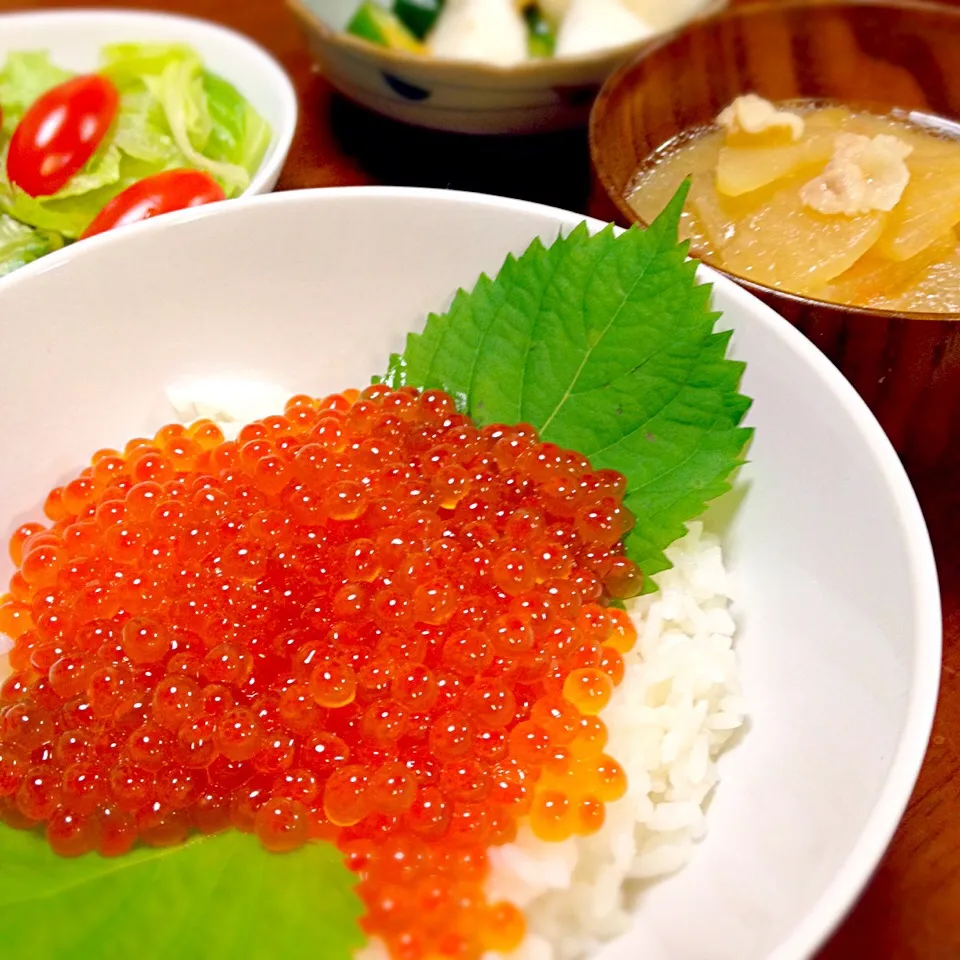 自家製いくらの醤油漬けでいくら丼|ヒロリンさん