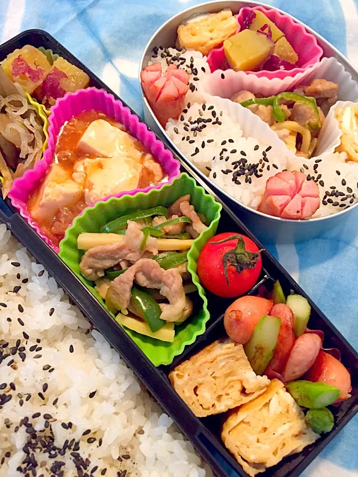 中華弁当！ 青椒肉絲 麻婆豆腐 きんぴら 卵焼き ウィンナーとアスパラ炒め さつまいも甘煮|asamisaraさん