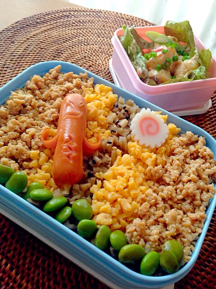 中1男子弁当🍱そぼろごはん（とり、たまご、蓮根）海老とアスパラのチリマヨサラダ😋|アイさん