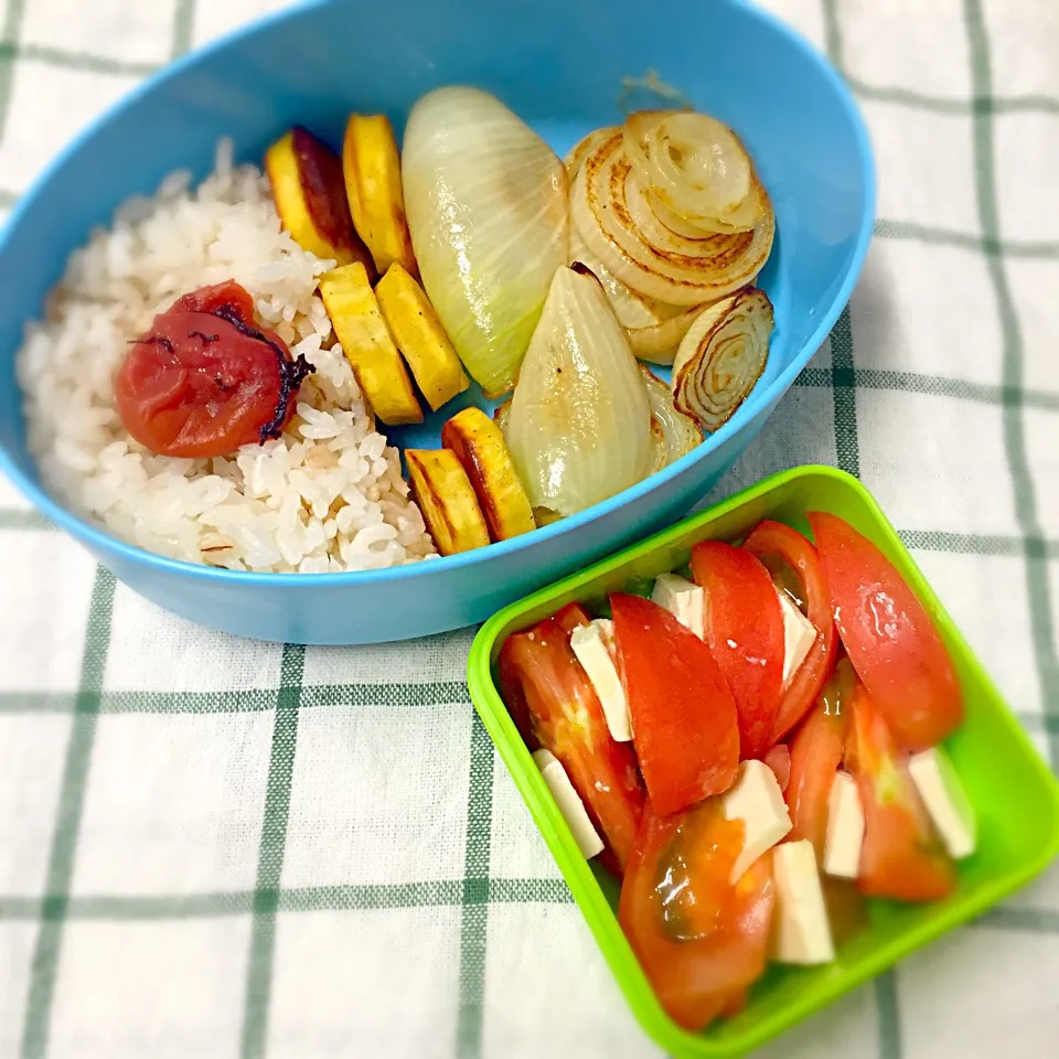 野菜グリルとカプレーゼのお弁当|ゆりさん